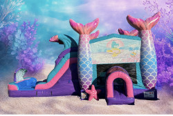 Under the Sea Dual Slides -Wet or Dry