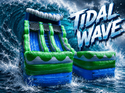 16 Ft Tidal Wave Dual Lane Waterslide Wet/Dry